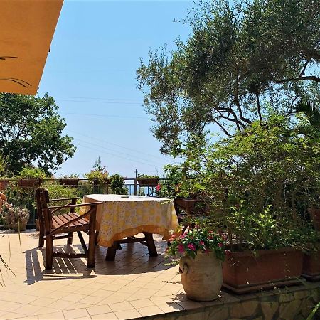 B&B Dei Fiori Praia a Mare Exterior photo