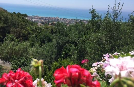 B&B Dei Fiori Praia a Mare Exterior photo